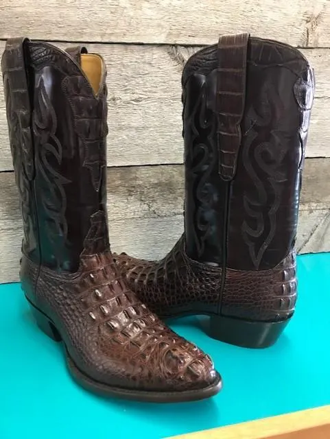 Horn Back Brown  Gator Tres Outlaws  "Got Gator Collection" 4102