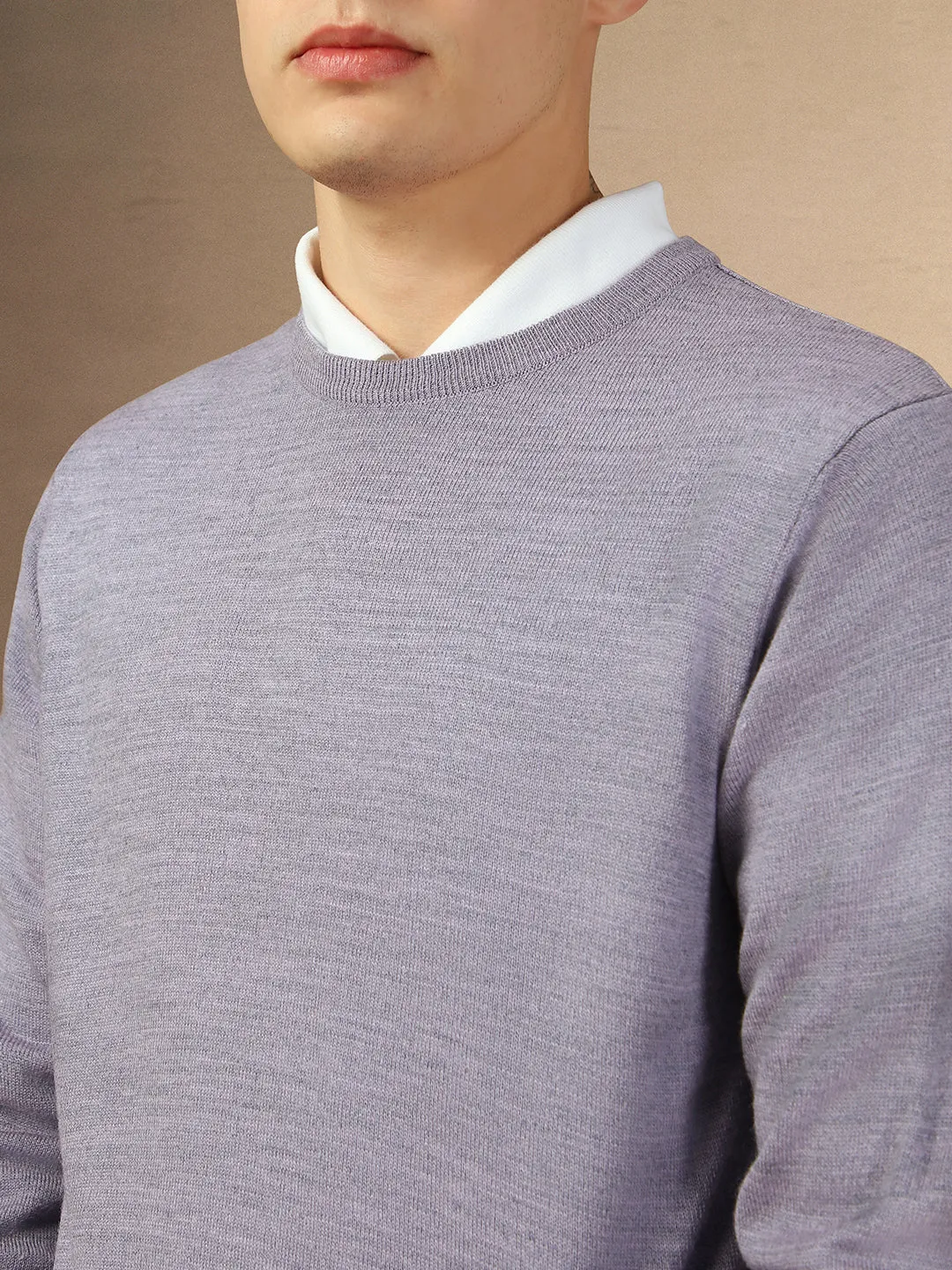 Men's Lavender Crew Neck Full Sleeves Slim Fit Pullover Sweater