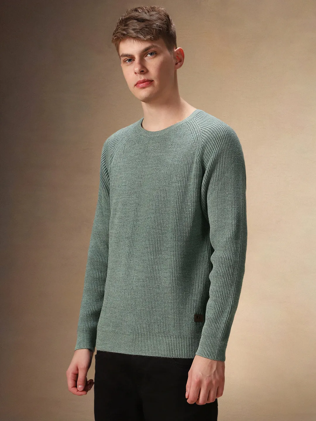 Men's Sage Green Round Neck Full Sleeves Pullover Sweater